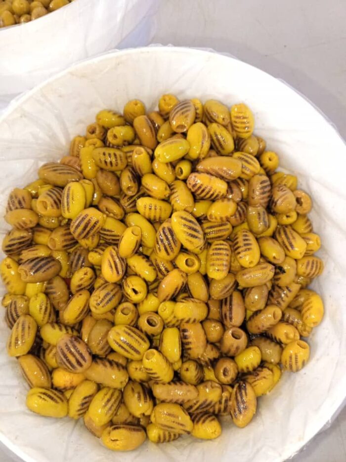 AlZaytouna AlShamiya- الزيتونة الشامية